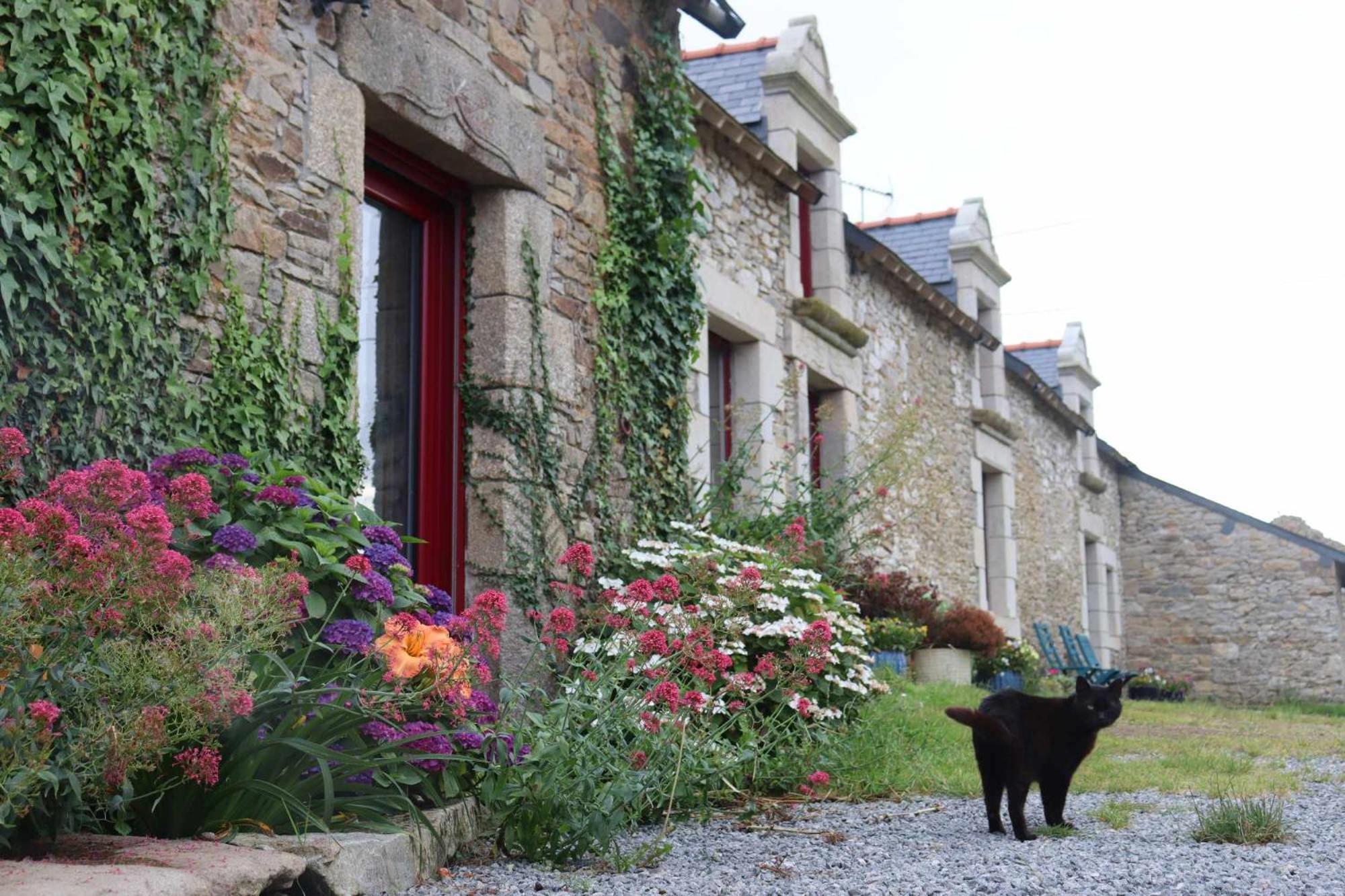 La Petite Berais Missillac Exterior foto